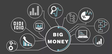 生于粗放，死于放縱 互聯網數據服務創(chuàng)業(yè)項目的生死啟示