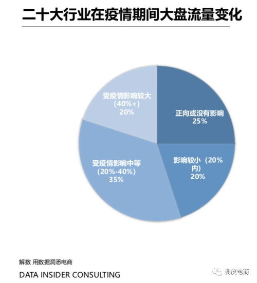 疫情風(fēng)暴中的電商互聯(lián)網(wǎng) 數(shù)據(jù)之海，漲落驚心